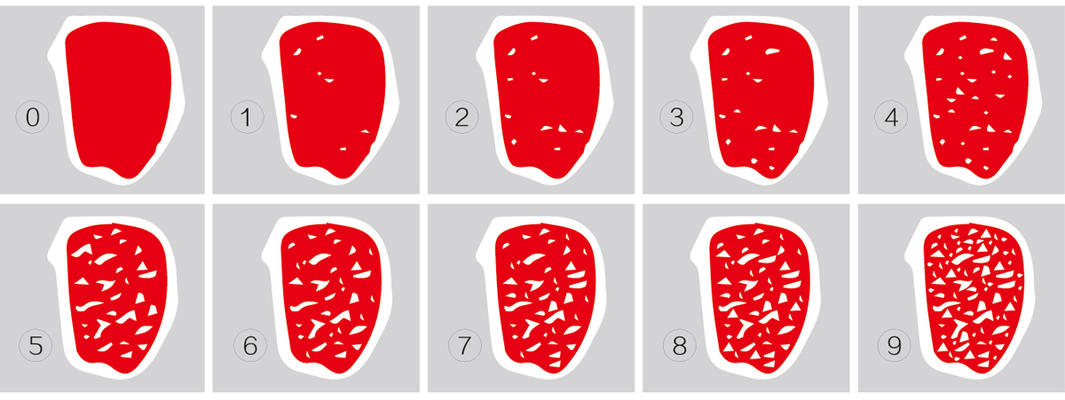 Rating of Wagyu